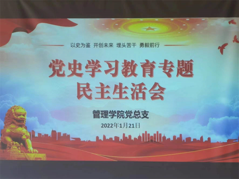 公司党总支召开党史学习教育专题民主生活会